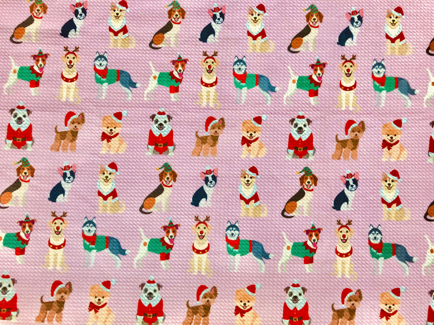 Premium Bullet Knit Fabric – Festive Pups in Santa, Reindeer & Elf Costumes on Vivid Pink, 56″ Wide, Sold by the Yard (BPR195)