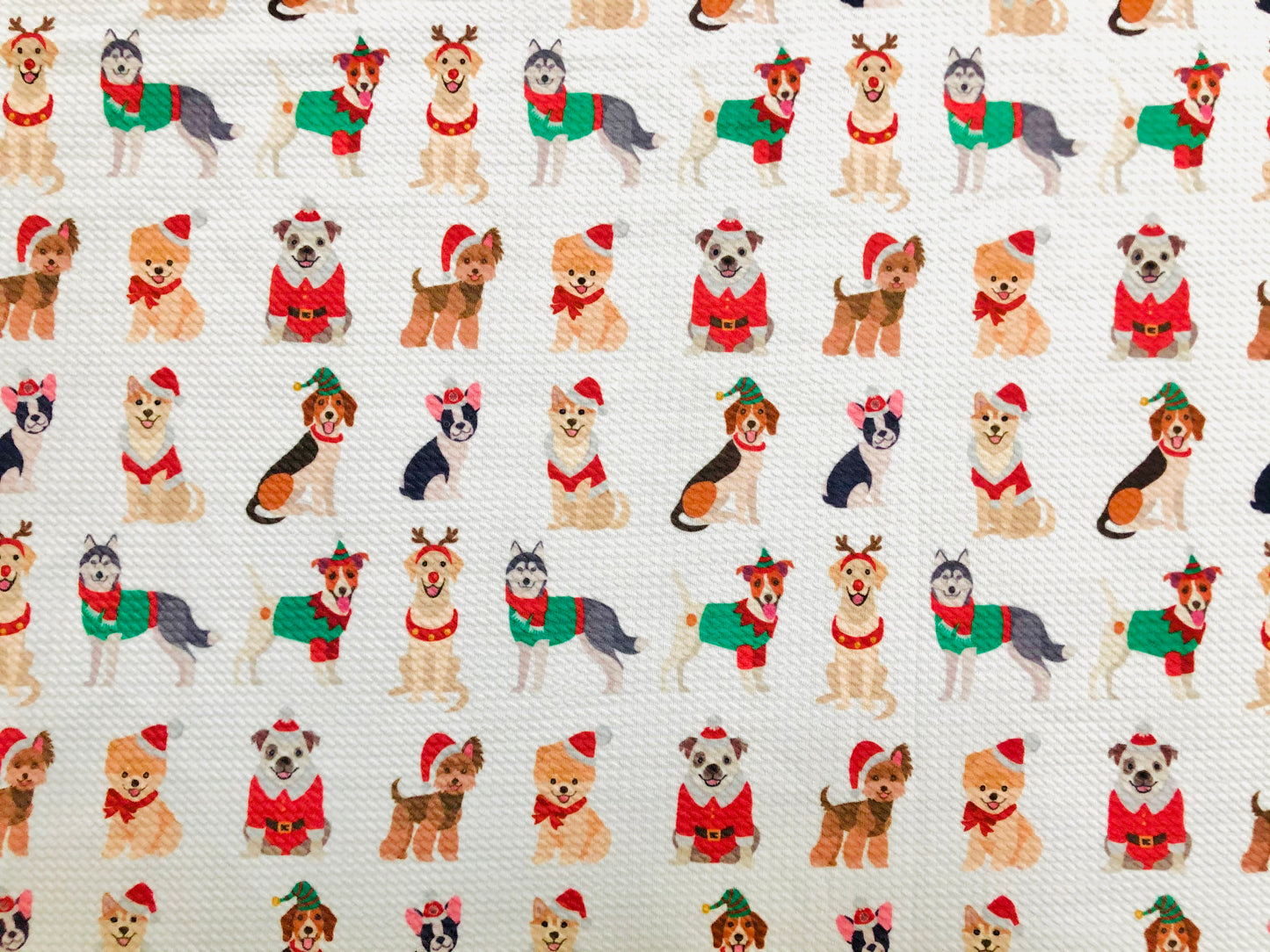 Premium Bullet Knit Fabric – Festive Pups in Santa, Reindeer & Elf Costumes on Ivory, 56″ Wide, Sold by the Yard (BPR196)