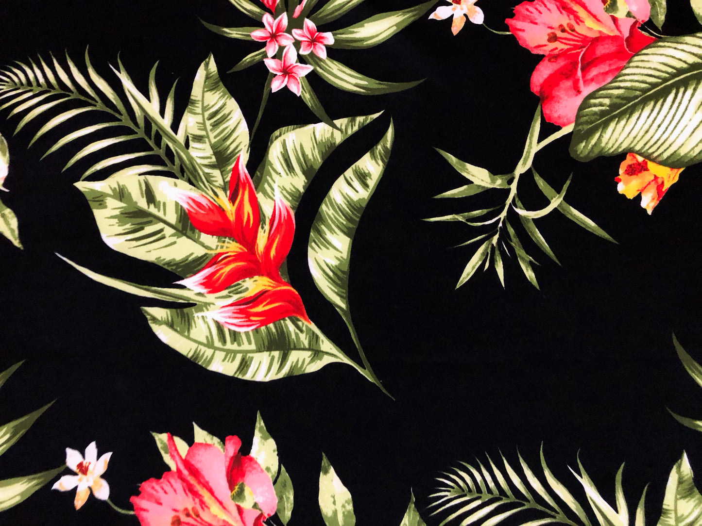 Scuba Techno Knit – Black/Coral/Red Tropical Hibiscus Floral | 4-Way Stretch, 56″ Wide, 220 GSM – By the Yard (SCTPR024)