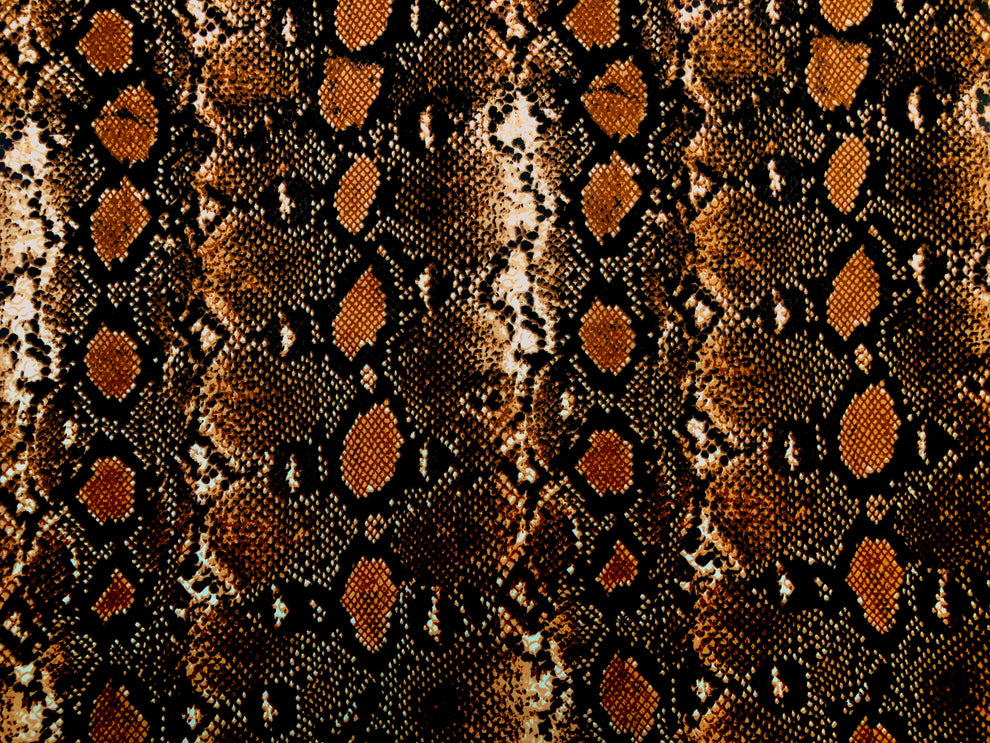 Copper Black Rattle Snake Skin Scuba Techno Fabric – SLPFabrics