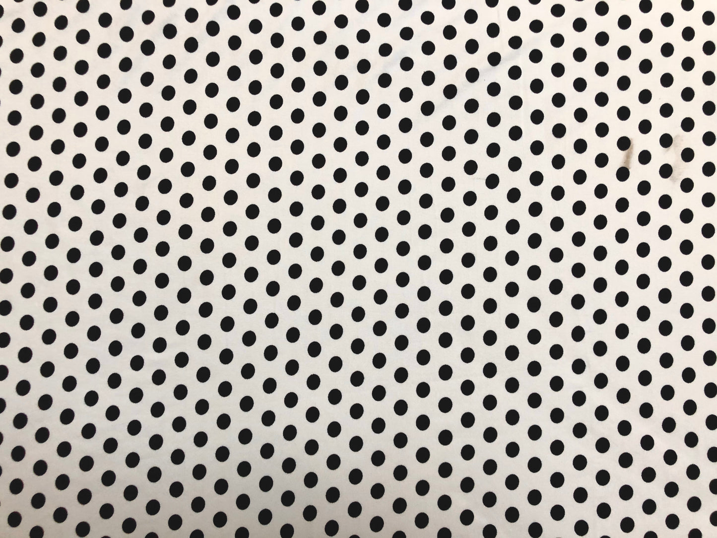 Ivory Black Polka Dots DTY Double Brushed Jersey Print Fabric